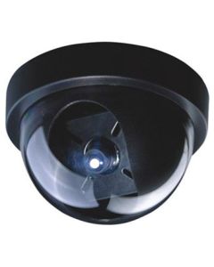 1/4" DPS Dome Camera, 420TVL, 6mm Lens