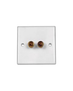 Speaker Wall Plate 2x 4mm Flush